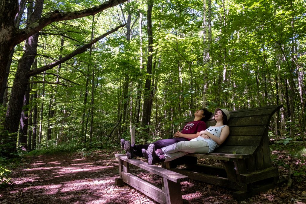 Peter's Woods Provincial Park