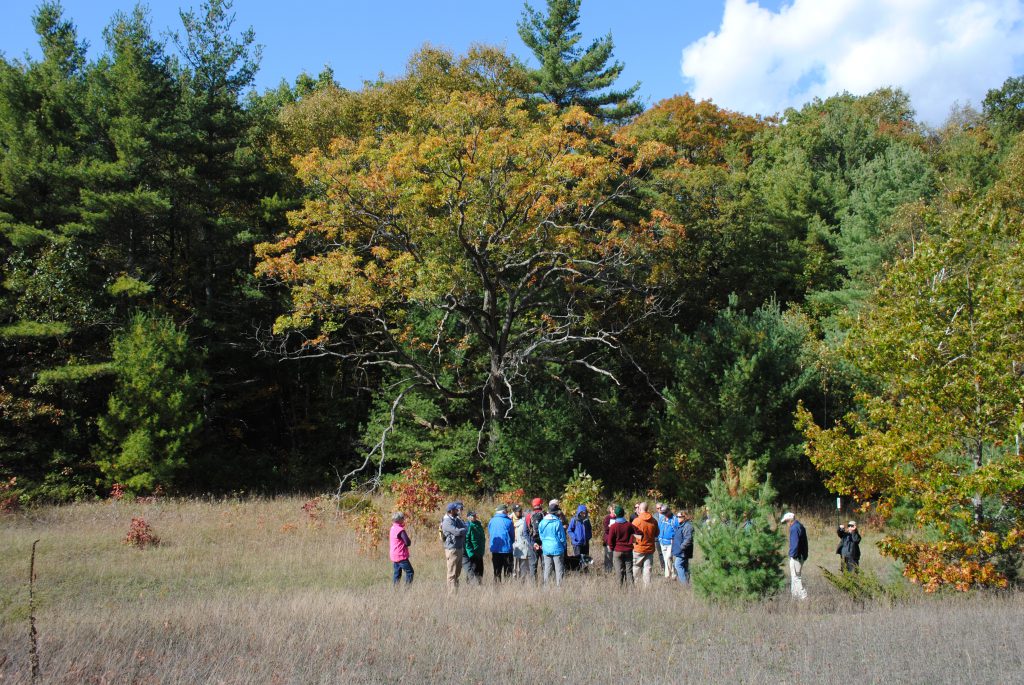 Nature Conservancy of Canada Announces Launch of New Trail – Rice Lake
