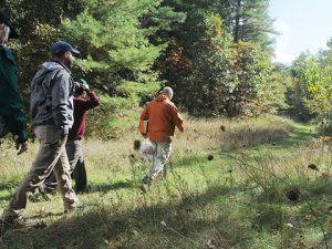 Hazel Bird Trail