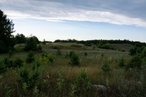 Hazel Bird Nature Reserve