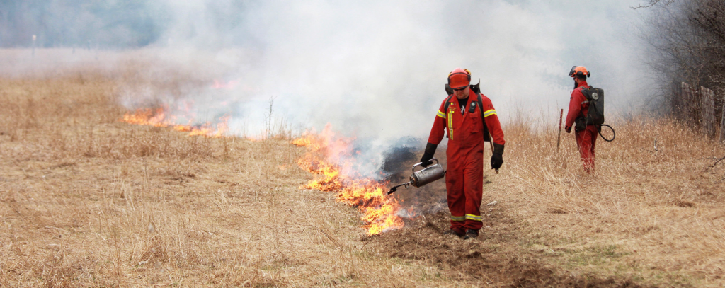 Prescribed Burn